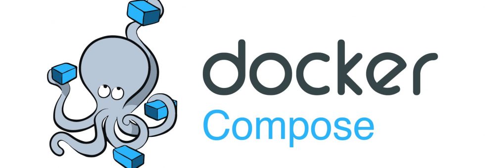 Diagram illustrating Docker Compose networks setup for container communication and security